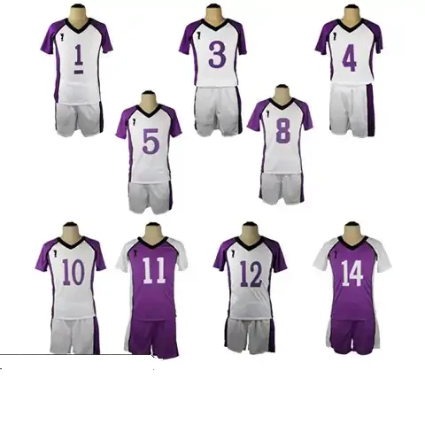 Shiratorizawa-Sporttrikot — Haikyu!!