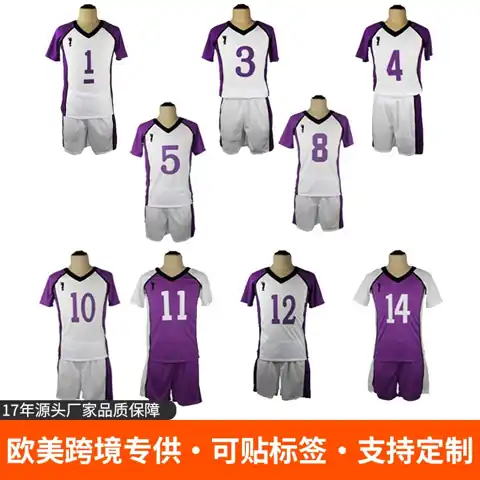 Shiratorizawa Sports Uniform